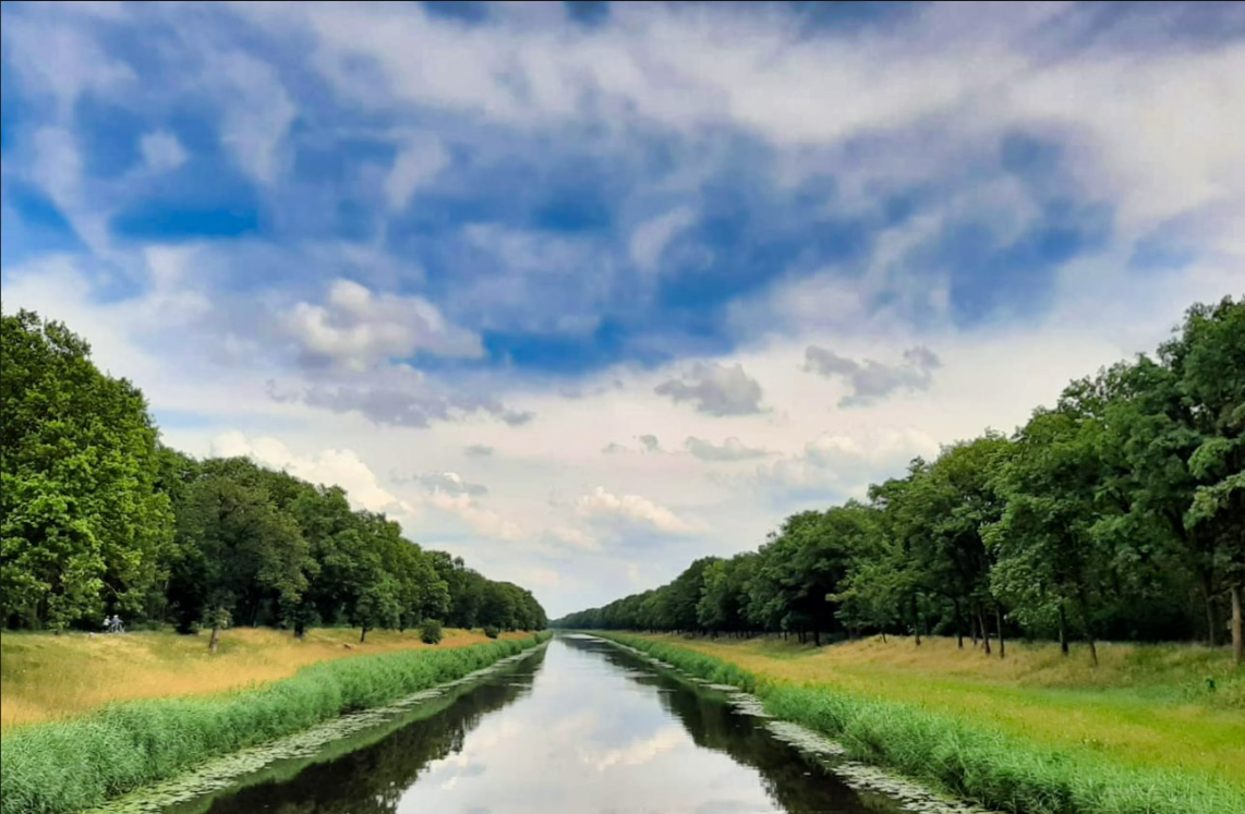 foto van de natuur